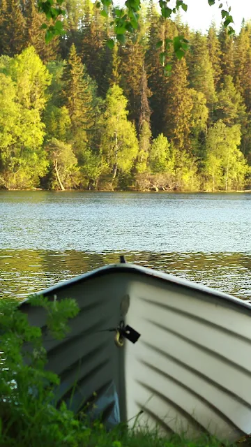 Paisagem, Canoa, Lago, Floresta, Árvores