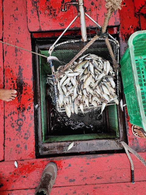 Pangkor_Fishing_Jetty_Sungai_Pinang_Besar