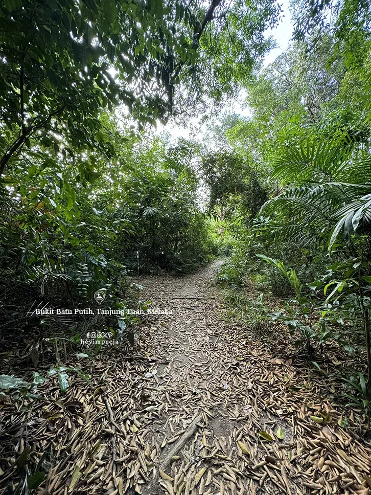 Bukit Batu Putih Tanjung Tuan Melaka