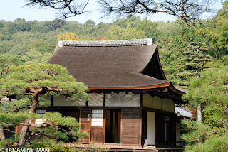 A wooden house surrounded by pine trees, at Ginkakuji Temple, in Kyoto