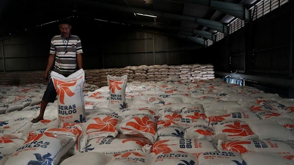 Bulog Beberkan Penyebab 20.000 Ton Beras Terancam Busuk