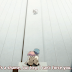 Mahou Shoujo Madoka eps 4 Review