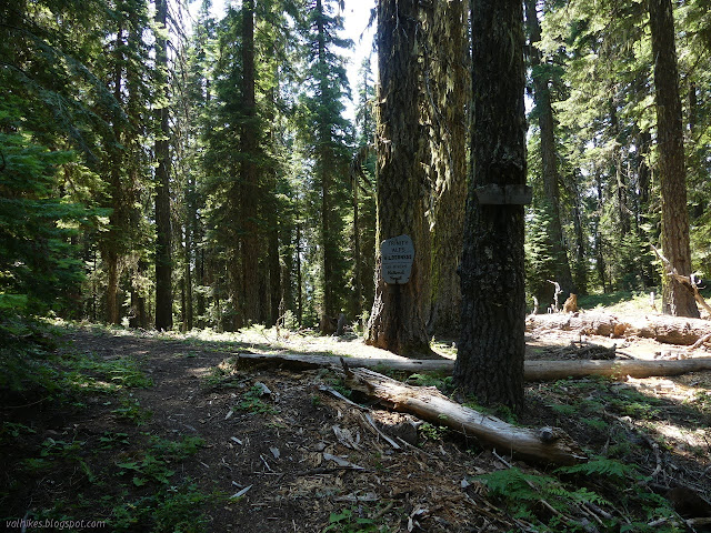 boundary sign for Trinity Alps Wilderness