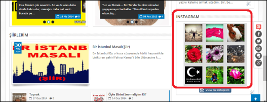 instagram%2Bwidget-2[1]