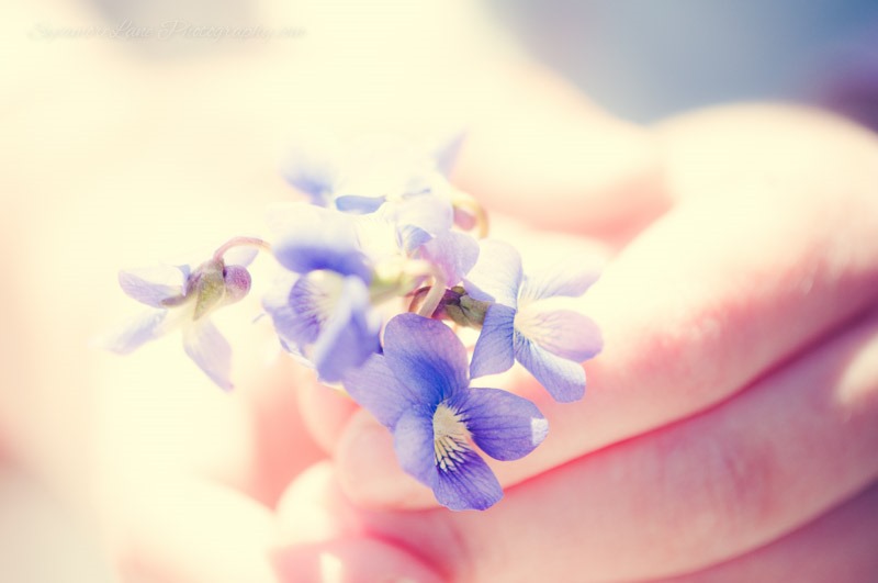SycamoreLane Photography-©2014 -Child Photographer (10)