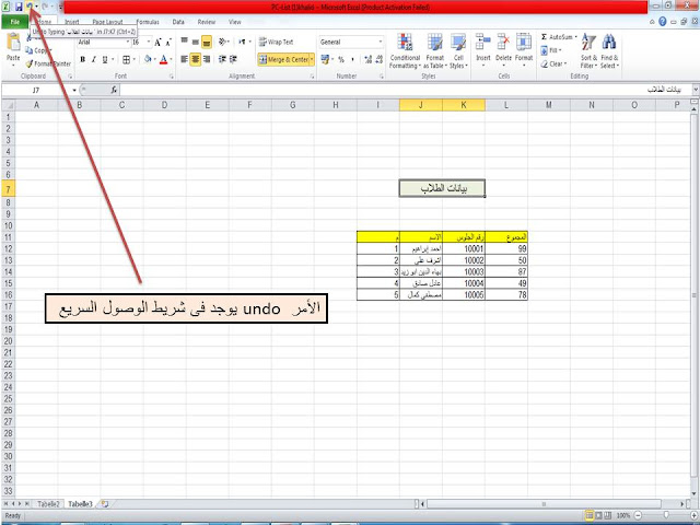 التراجع فى الاكسيل, undo in excel