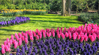 Keukenhof, Netherlands