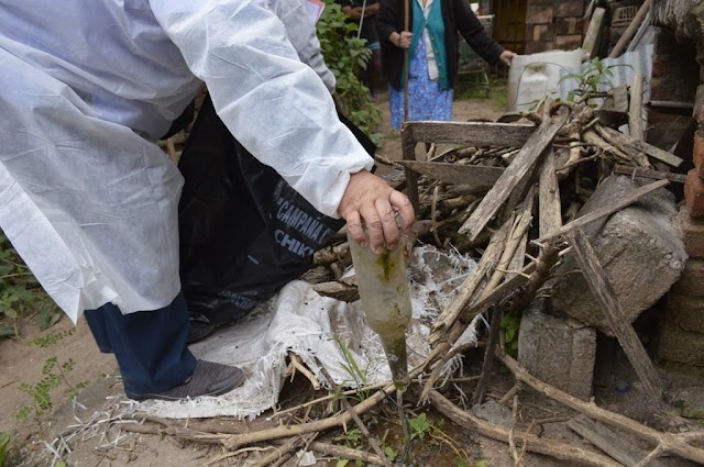 En la última semana se registraron 2.956 nuevos casos de dengue