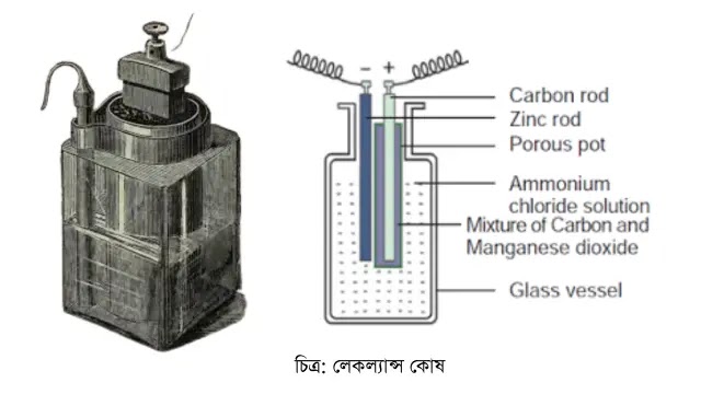 লেকল্যান্স কোষ