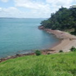 View album