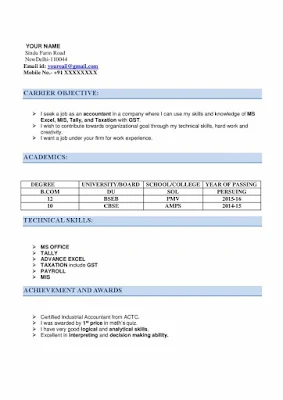 CA Articleship Resume 1