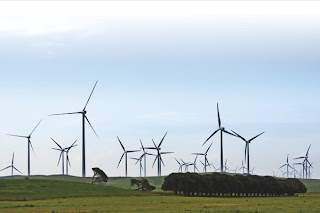 Lake Bonney Wind Farm