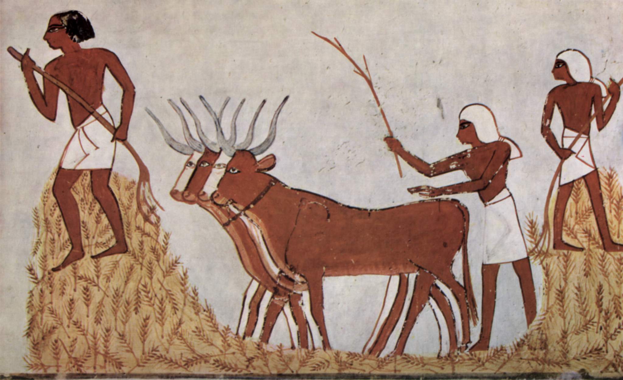 Pintures d’escenes agrícoles en tombes de l’Antic Egipte