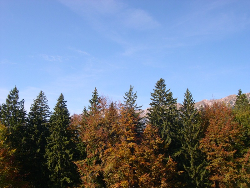 piatra craiului 083