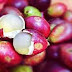 Cara Mudah Menanam Dan Merawat Buah Matoa Bagi Pemula