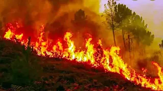 Uttarakhand Forest Fire