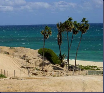 On%20the%20east%20cape%20road%20in%20baja[1]