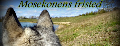 Mosekonens fristed