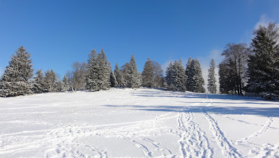 Winterlandschaft Montagne de Romont