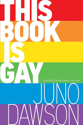 A rainbow book cover with the words This Book Is Gay