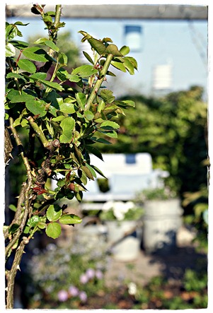 blog 3