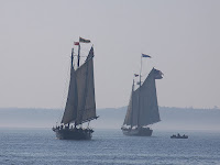 "In Foggy WoodenBoat Cove" The Maine Windjammer Project