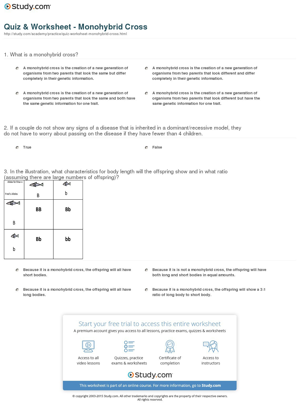 monohybrid cross worksheet