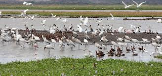 Parque Nacional Palo Verde