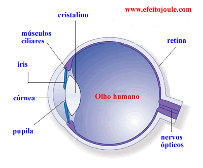 Física - Óptica da Visão