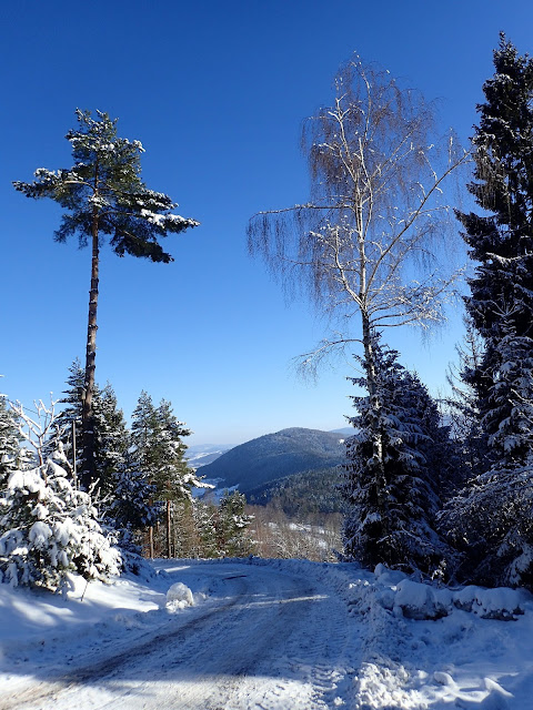 Szlakowe widoki pod Lubomirem