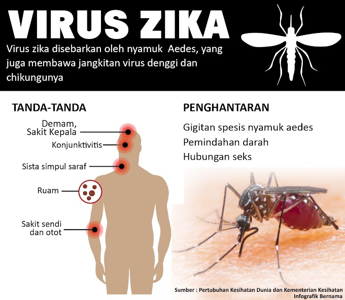 Zika masuk Malaysia: 5 perkara anda perlu tahu