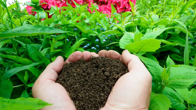 Meningkatkan Produktivitas Pertanian dengan Menggunakan Pupuk Kompos