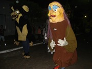 Desfile Paraisopolis (7)