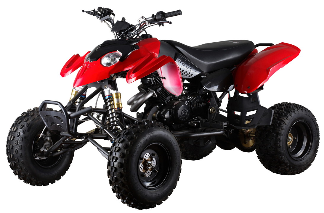 bike: quad bike