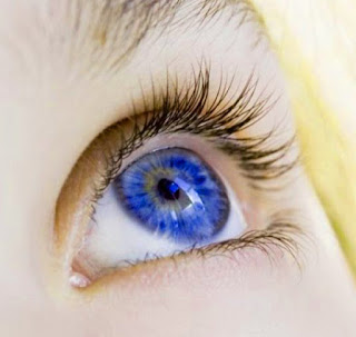 Humans with blue-eyed have a single, common ancestor