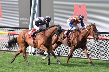 race 5_finish 4