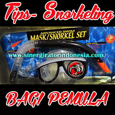 Paket Kacamata Renang Selang  Selam Snorkeling Diving Set 