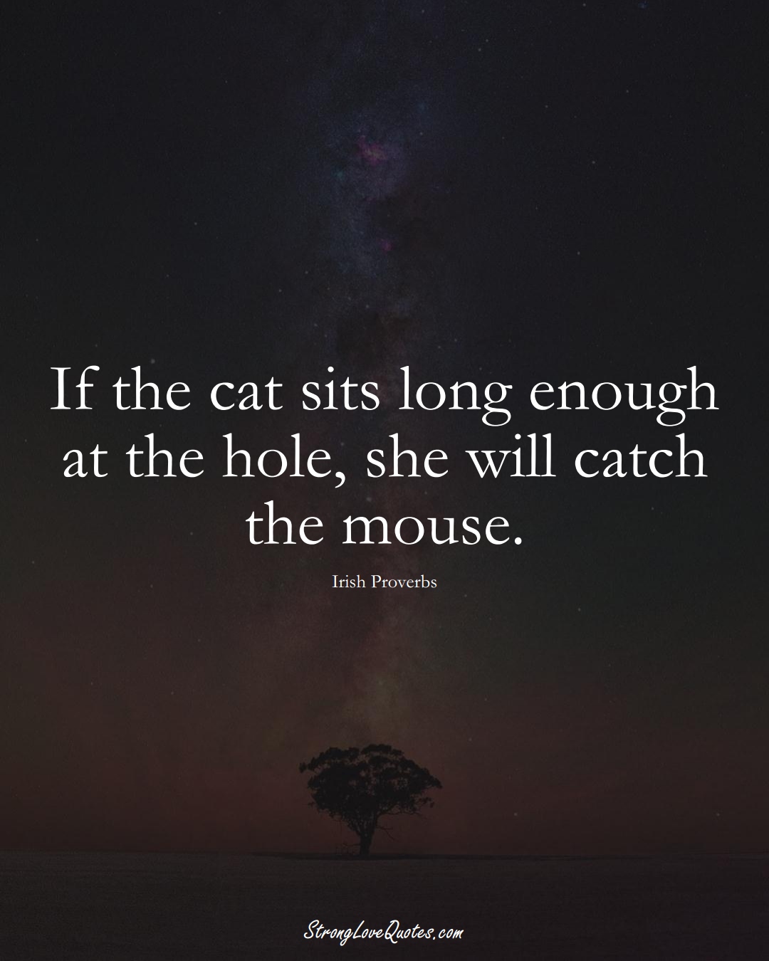 If the cat sits long enough at the hole, she will catch the mouse. (Irish Sayings);  #EuropeanSayings