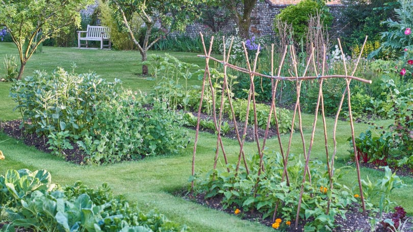 Backyard Garden