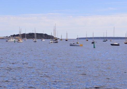 Nova Scotia 22