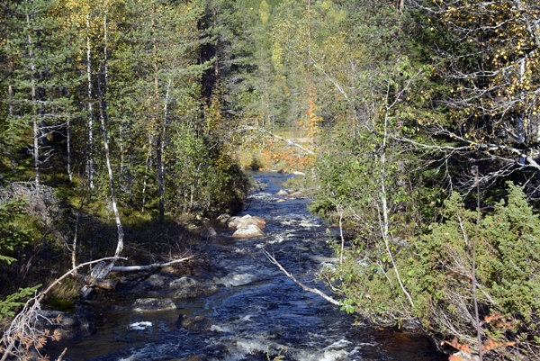 kollsjøen urdevasselva