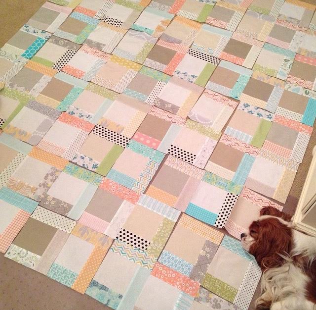 Blenheim Cavalier King Charles Spaniel napping on quilt in progress