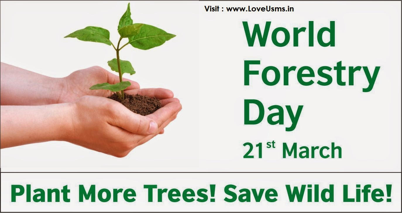 World Forestry Day - 21 March