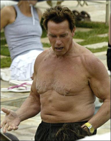 arnold schwarzenegger now. arnold schwarzenegger now fat.