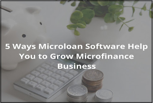 Microloan Software