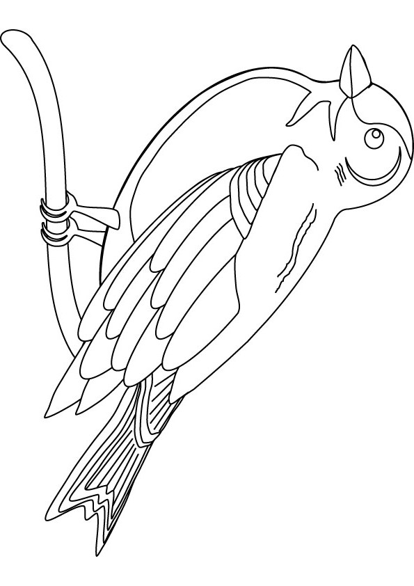 Download Osprey Coloring Pages Sketch Coloring Page