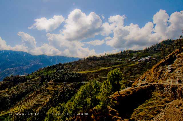 Visiting HomeTown (in Himachal Pradesh) is often Rejuvenating, Fun... and Necessary: Recently I visited my HomeTown during Good Friday vacations after a very long time. It was very good break from Hot Summers of Delhi and I enjoyed it. I belong to Mandi District of Himachal Pradesh and my Home is surrounded by green landscape with lots of Trees, Chirping birds in early morning and freshening air.: Posted by VJ on PHOTO JOURNEY @ www.travellingcamera.com : VJ, ripple, Vijay Kumar Sharma, ripple4photography, Frozen Moments, photographs, Photography, ripple (VJ), VJ, Ripple (VJ) Photography, VJ-Photography, Capture Present for Future, Freeze Present for Future, ripple (VJ) Photographs , VJ Photographs, Ripple (VJ) Photography : Road which takes me to my Sweet Home :)