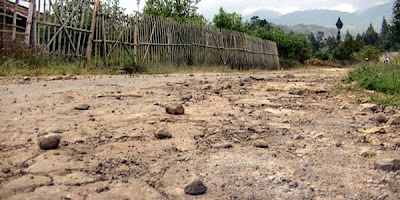 Jalan Desa Tulungrejo Rusak