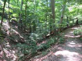 Walk a Mile trail Hoffmaster State Park