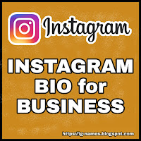instagram bio for business